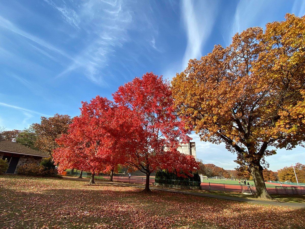 Brookdale Park, which straddles Bloomfield and Montclair